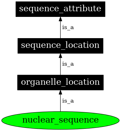 Graph image for SO:0000738