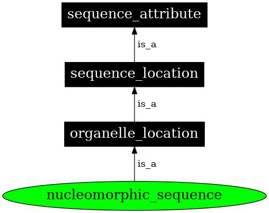 Graph image for SO:0000739