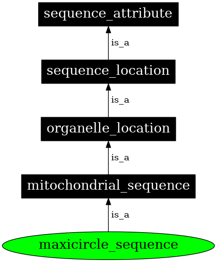 Graph image for SO:0000742