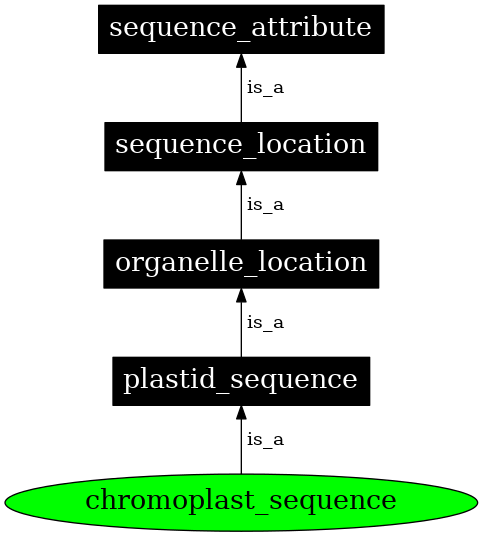 Graph image for SO:0000744