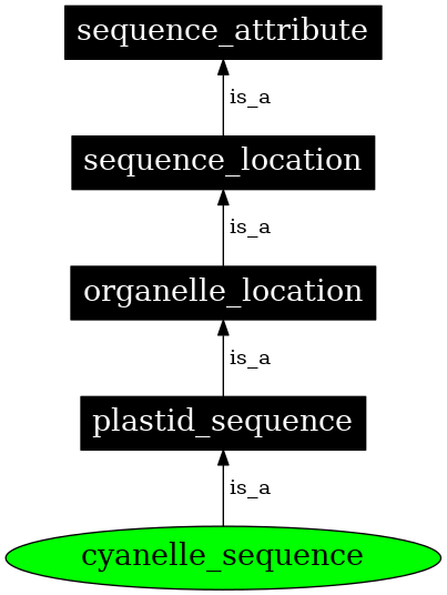 Graph image for SO:0000746