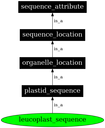 Graph image for SO:0000747
