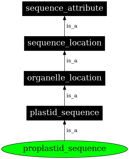 Graph image for SO:0000748