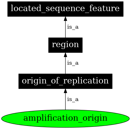 Graph image for SO:0000750