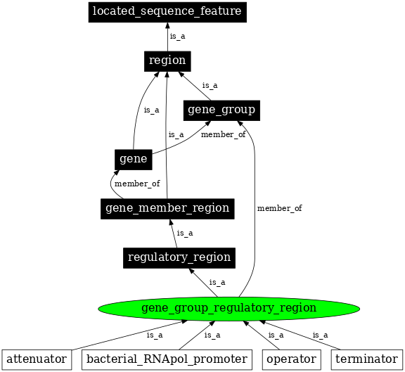 Graph image for SO:0000752