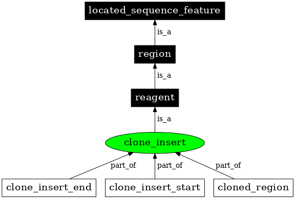 Graph image for SO:0000753