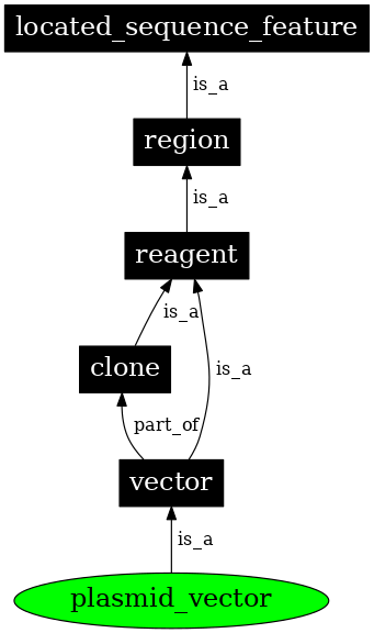 Graph image for SO:0000755