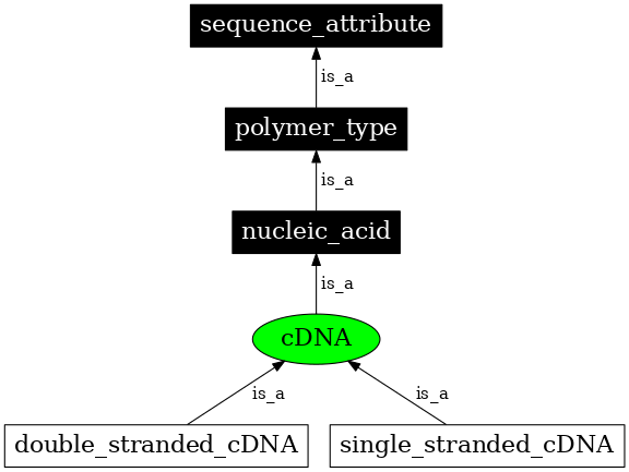 Graph image for SO:0000756