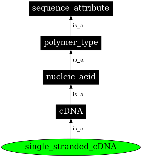 Graph image for SO:0000757