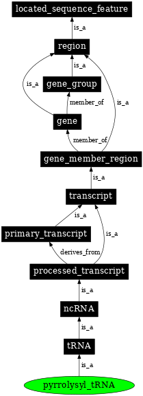 Graph image for SO:0000766