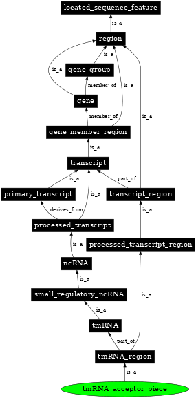Graph image for SO:0000770