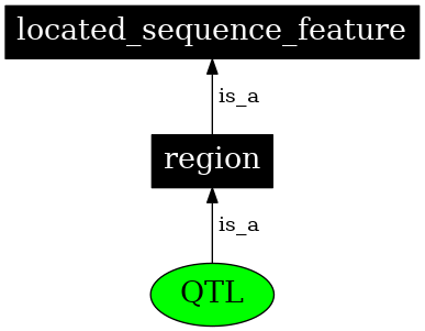 Graph image for SO:0000771