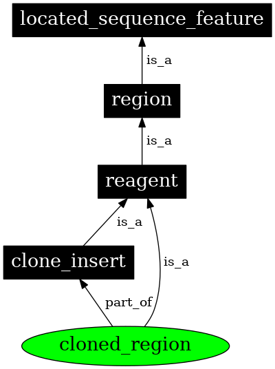 Graph image for SO:0000785