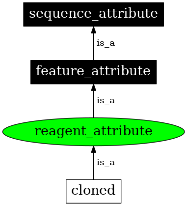 Graph image for SO:0000786