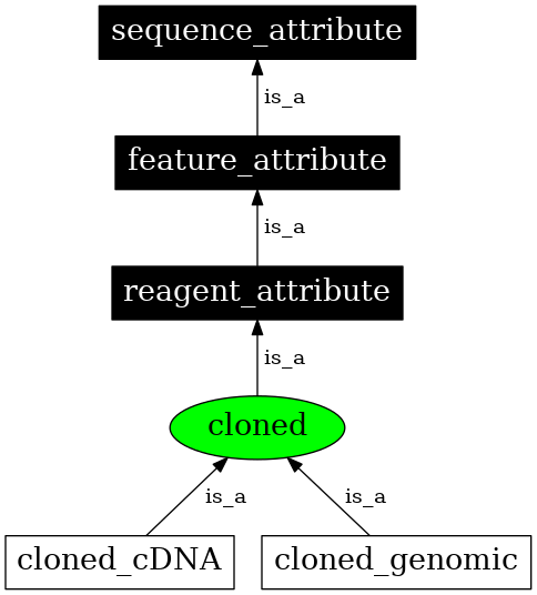 Graph image for SO:0000788