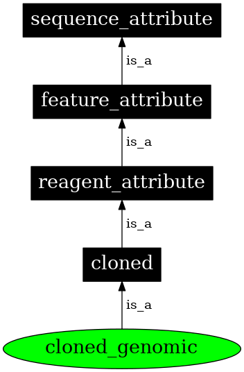 Graph image for SO:0000791