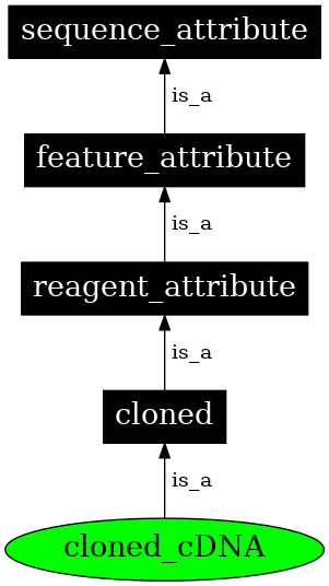 Graph image for SO:0000792