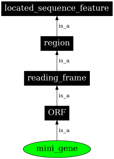 Graph image for SO:0000815