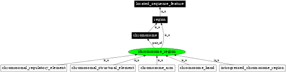 Graph image for SO:0000830