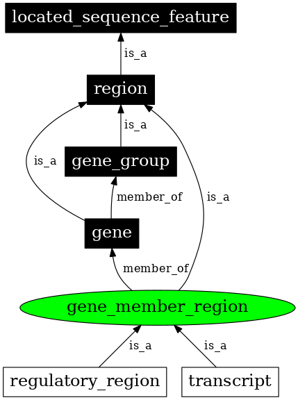 Graph image for SO:0000831