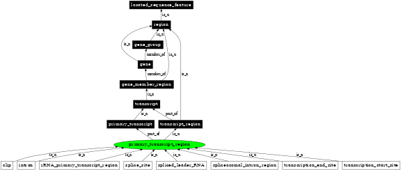 Graph image for SO:0000835