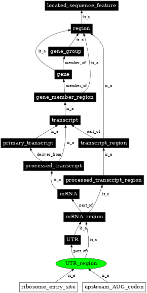 Graph image for SO:0000837