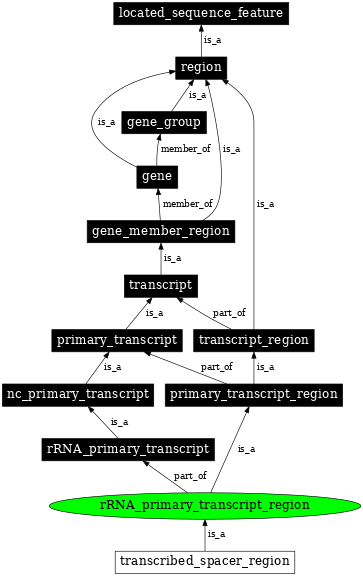 Graph image for SO:0000838
