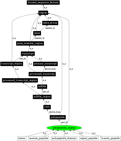 Graph image for SO:0000839