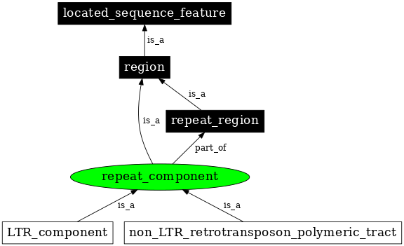 Graph image for SO:0000840