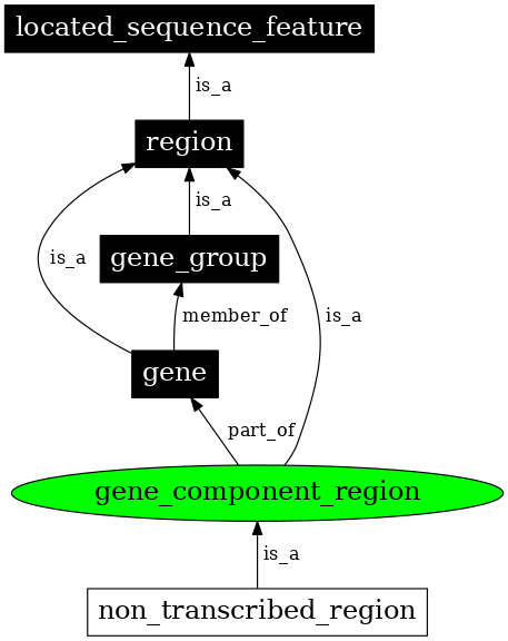 Graph image for SO:0000842
