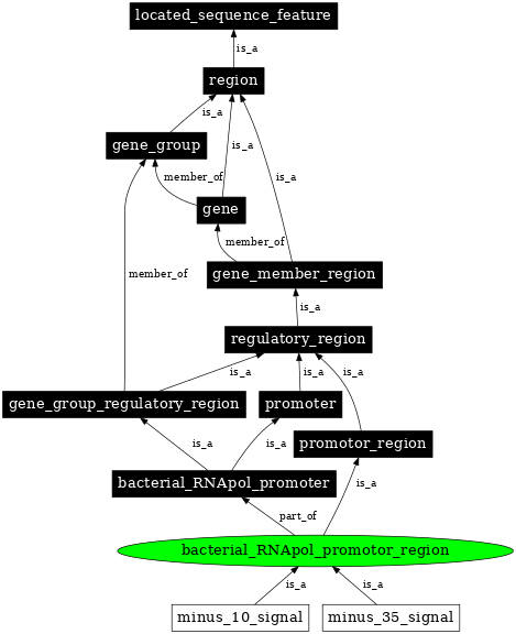 Graph image for SO:0000843