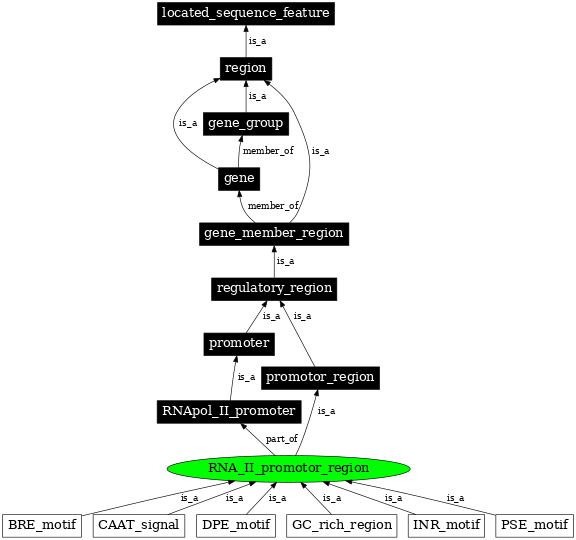 Graph image for SO:0000844