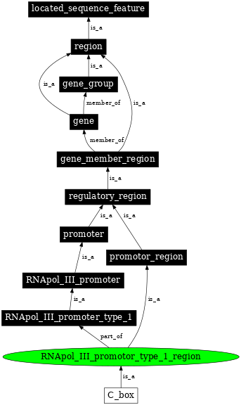 Graph image for SO:0000845