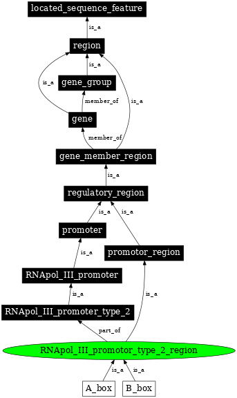 Graph image for SO:0000846