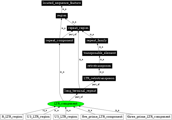 Graph image for SO:0000848