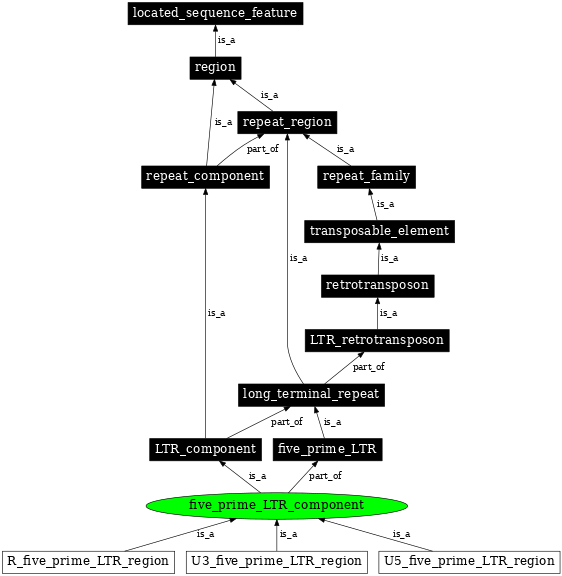 Graph image for SO:0000850