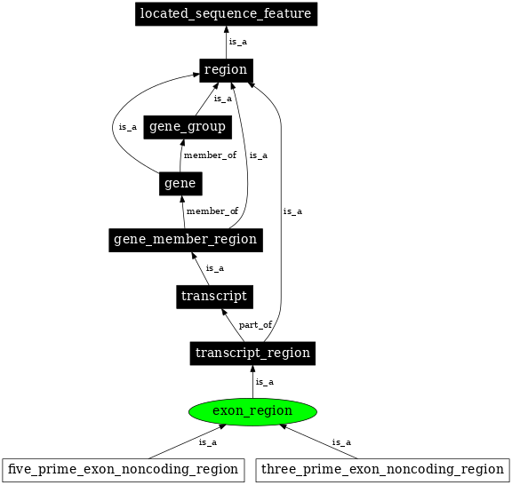 Graph image for SO:0000852