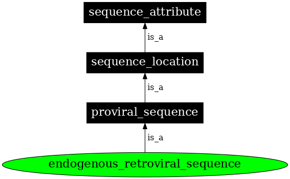 Graph image for SO:0000903