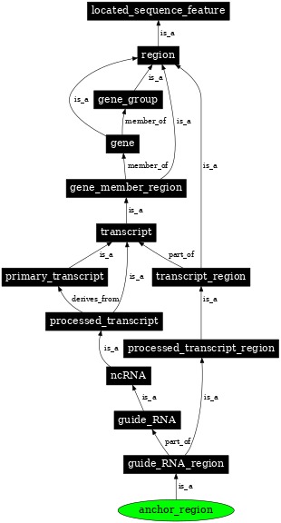 Graph image for SO:0000931