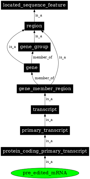 Graph image for SO:0000932