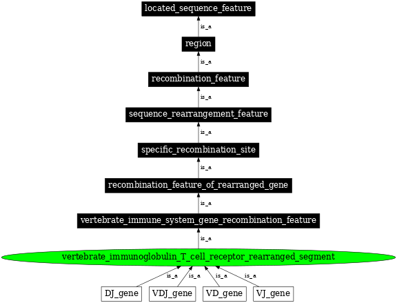 Graph image for SO:0000936