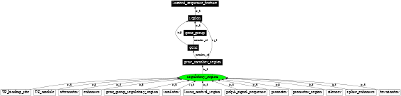 Graph image for SO:0005836