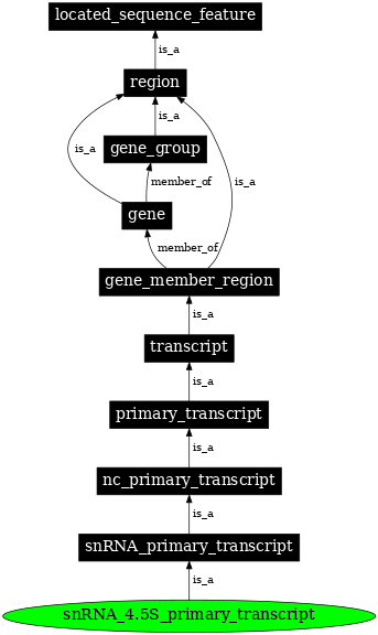 Graph image for SO:0005837