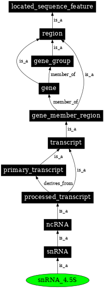 Graph image for SO:0005839