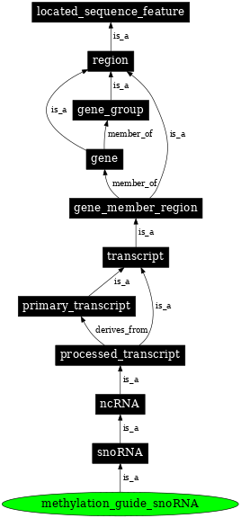 Graph image for SO:0005841
