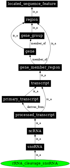 Graph image for SO:0005843