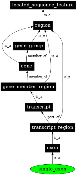Graph image for SO:0005845