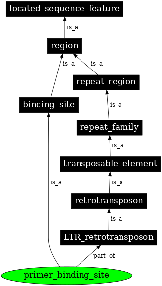 Graph image for SO:0005850