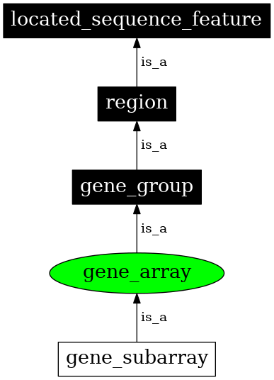Graph image for SO:0005851