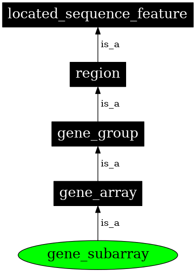 Graph image for SO:0005852
